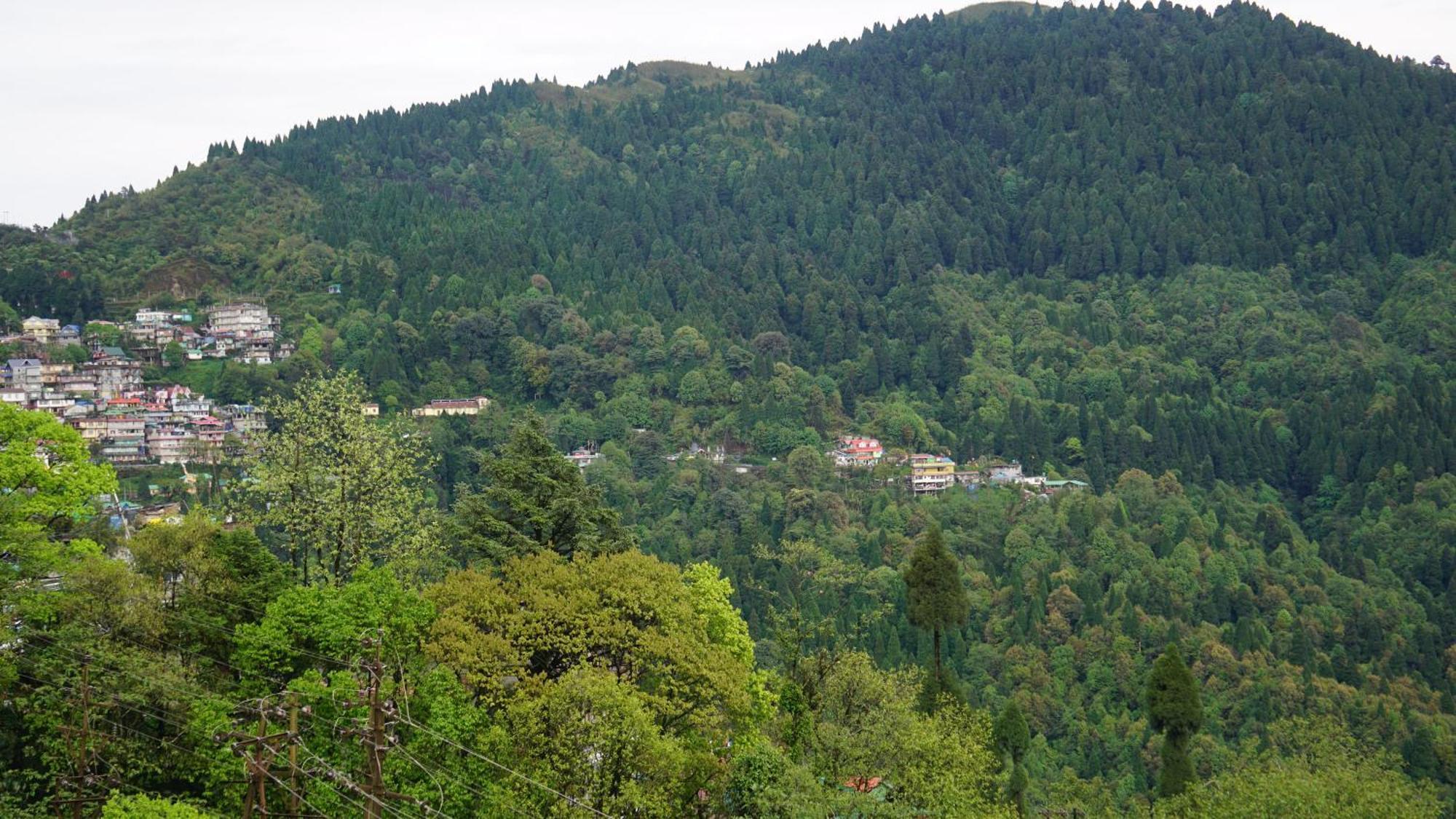 Tranquil Retreat Homestay Ghum Экстерьер фото