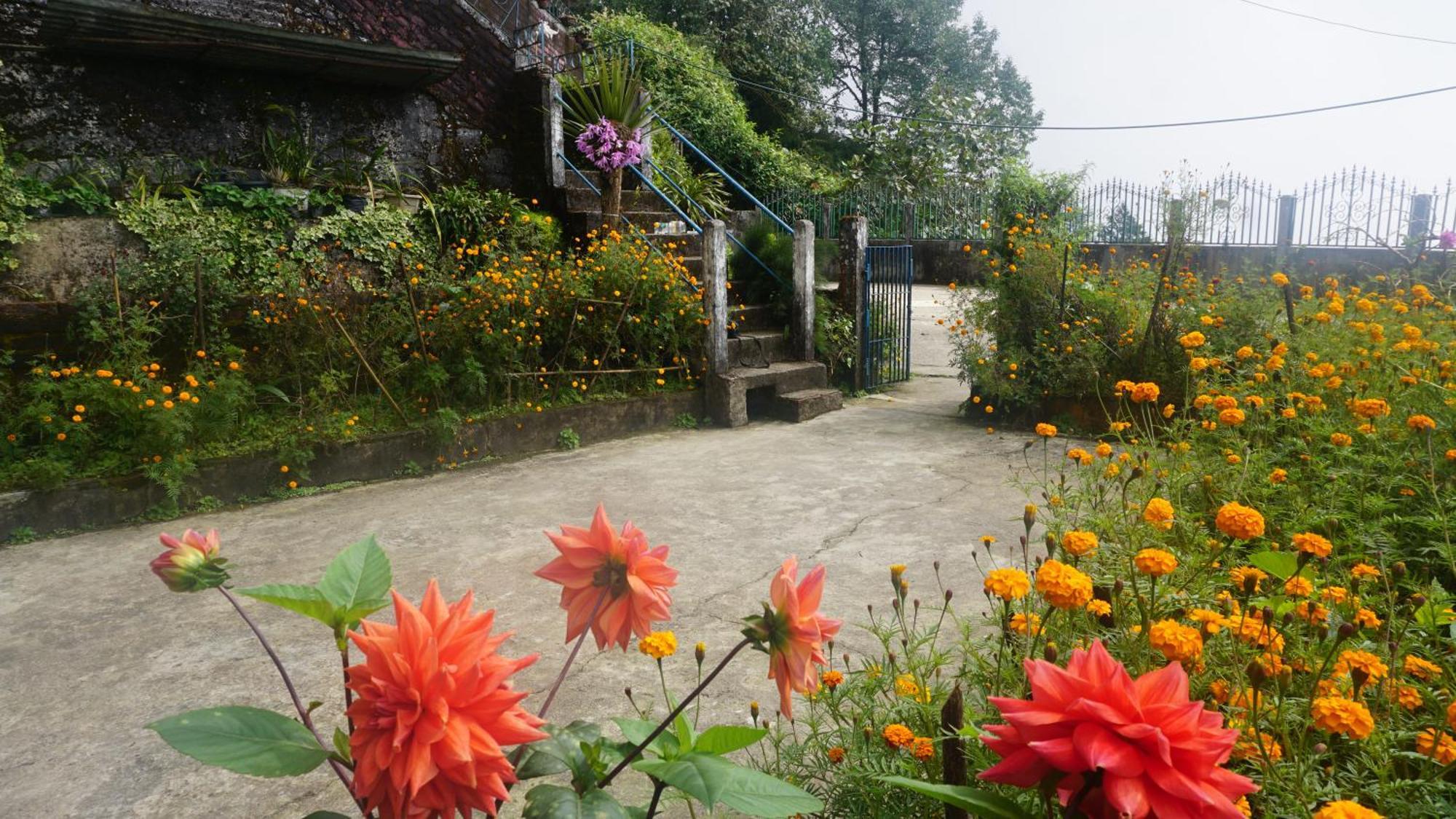Tranquil Retreat Homestay Ghum Экстерьер фото